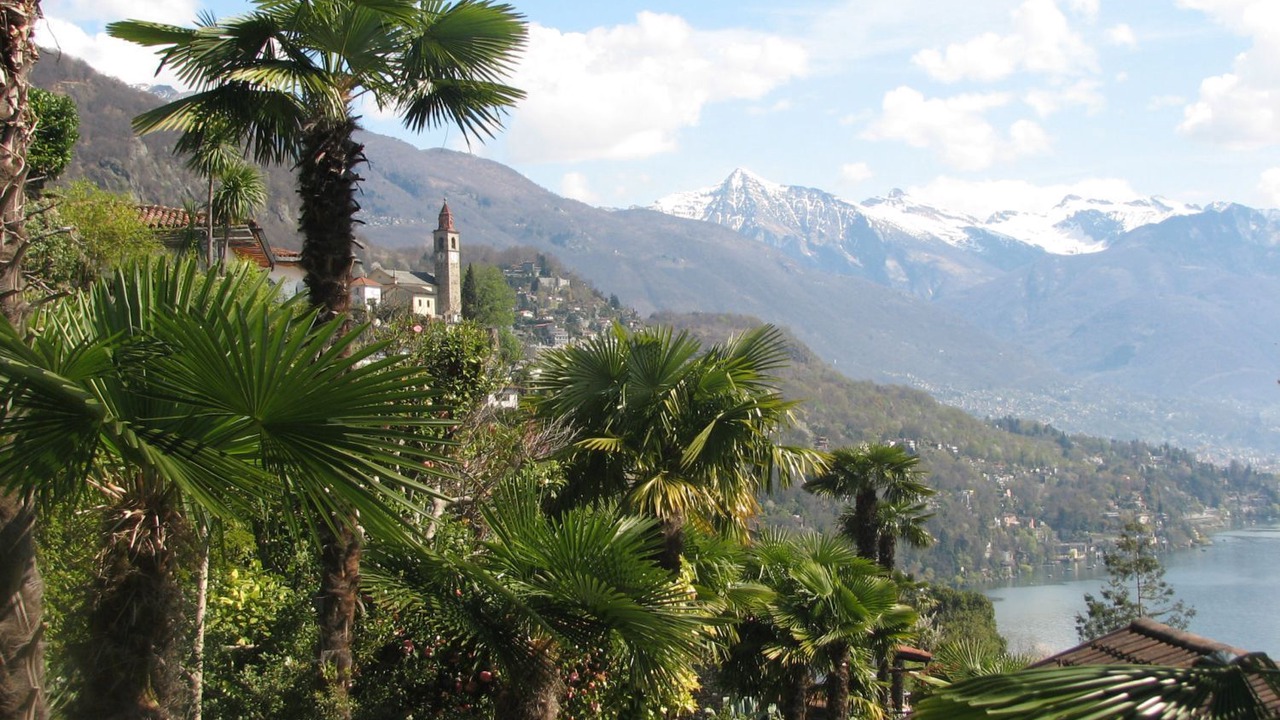 Photo of Others in Porto Ronco