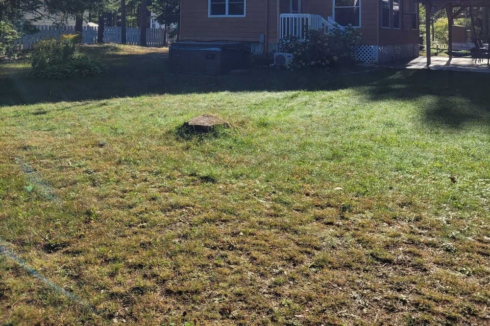 Photo of Outdoor in Bowman