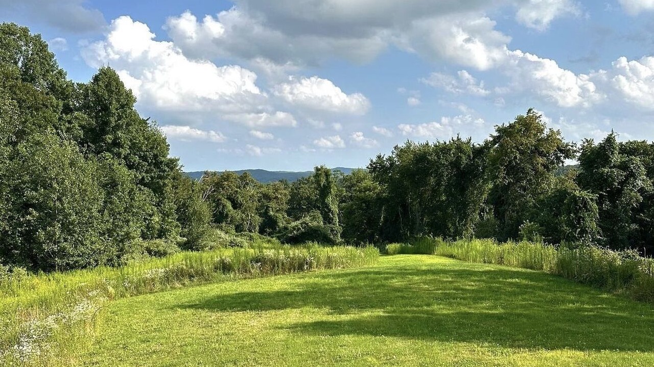 Photo of Others in Woodbury