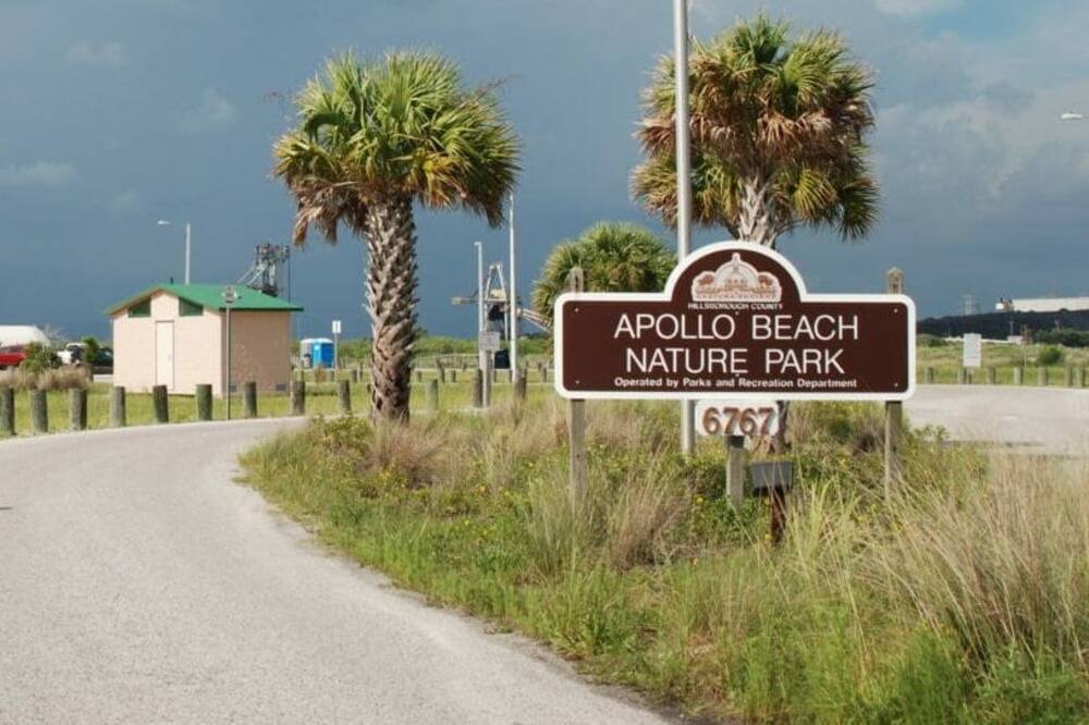 Photo of Others in Apollo Beach