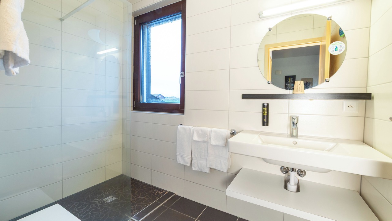 Photo of Bathroom in Saignelegier