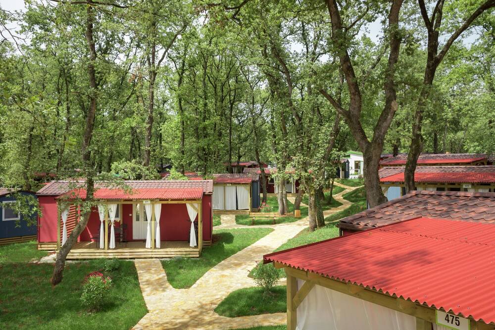 Photo of Outdoor in Mareda