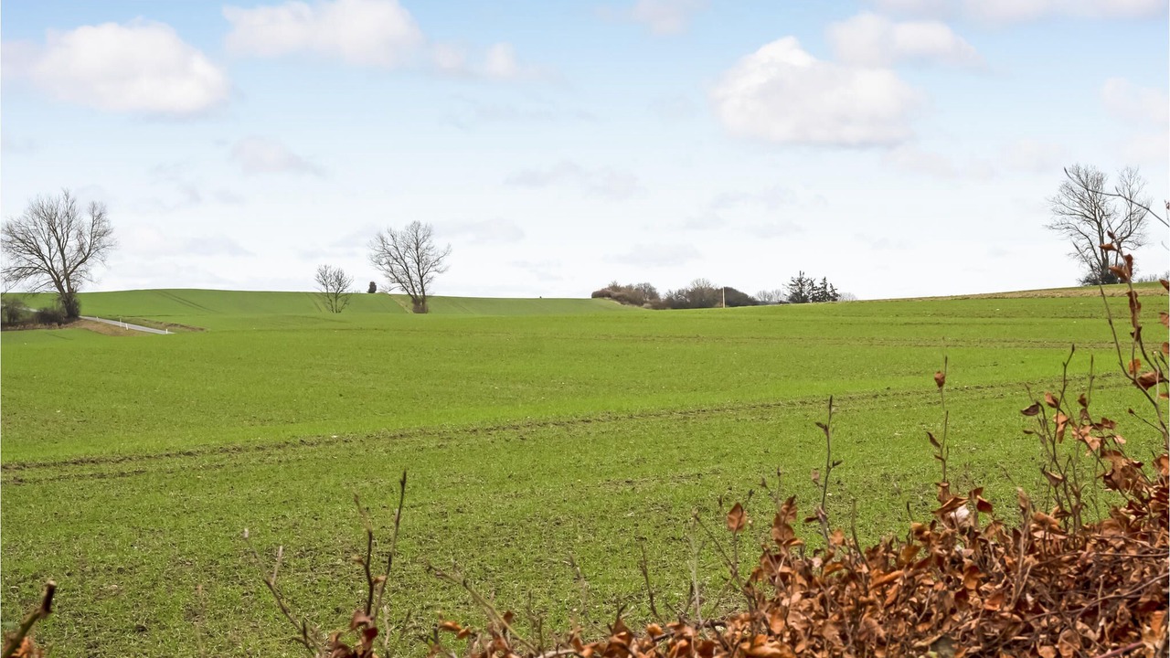 Photo of Outdoor in Stubbekobing