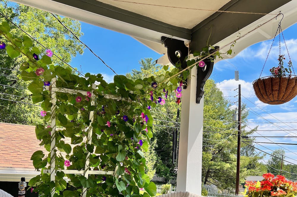 Photo of Outdoor in Damascus