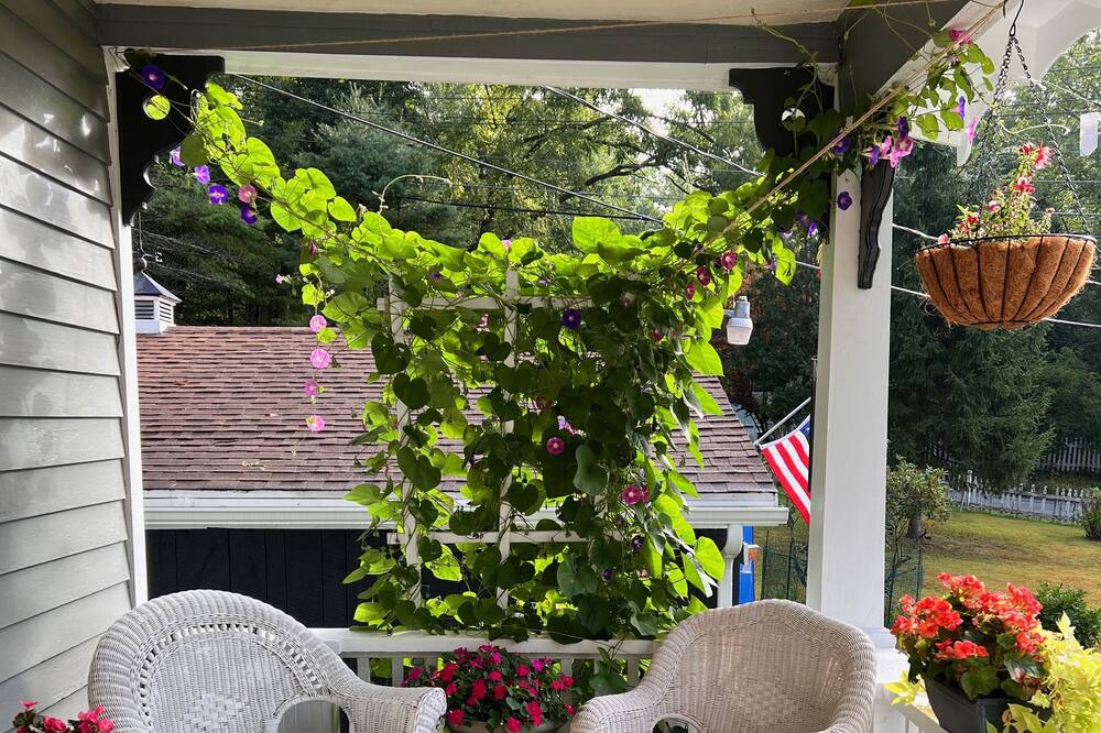 Photo of Patio Balcony in Damascus