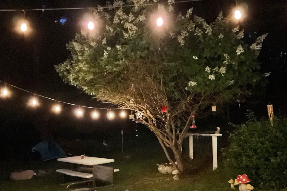 Photo of Outdoor in Damascus