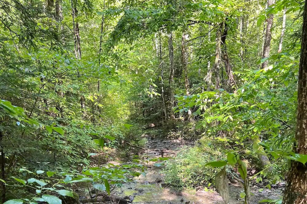 Photo of Outdoor in Lyndon Center