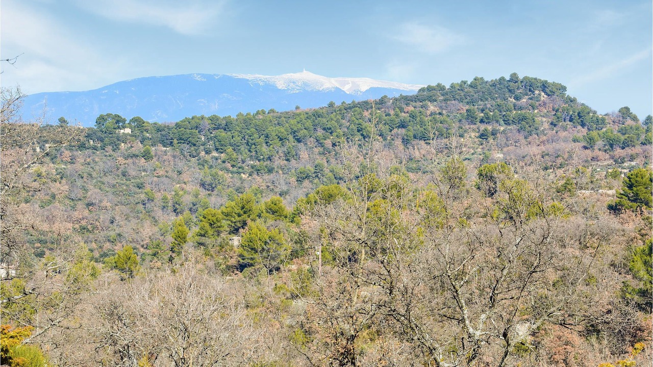 Photo of Others in Aurel