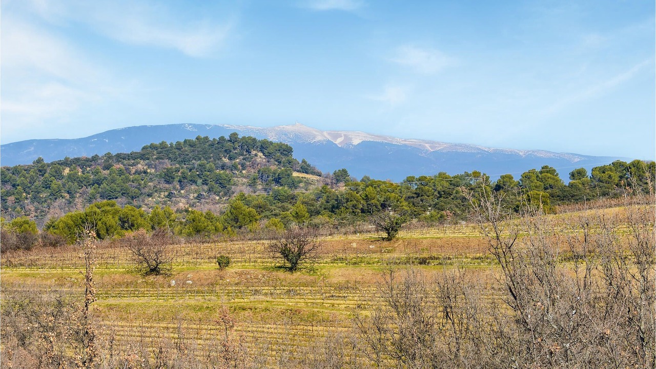 Photo of Others in Aurel