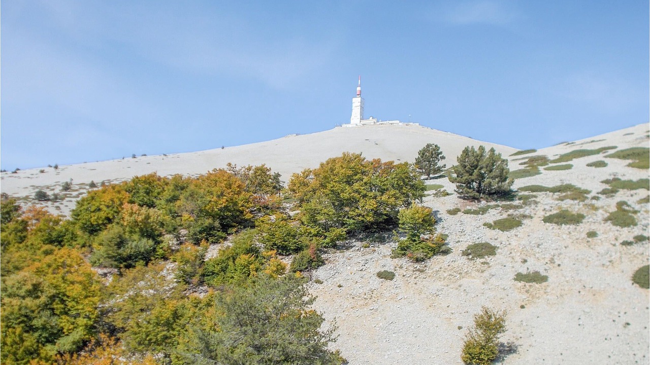 Photo of Others in Aurel