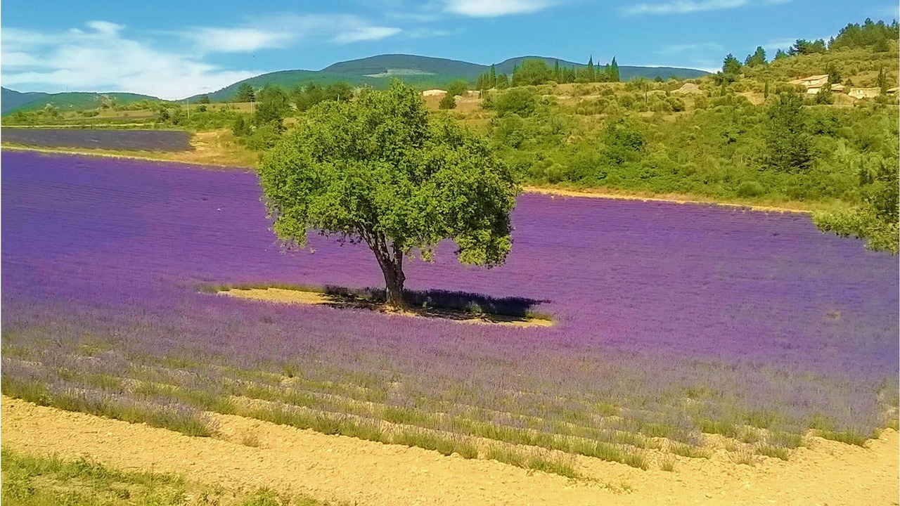 Photo of Outdoor in Aurel