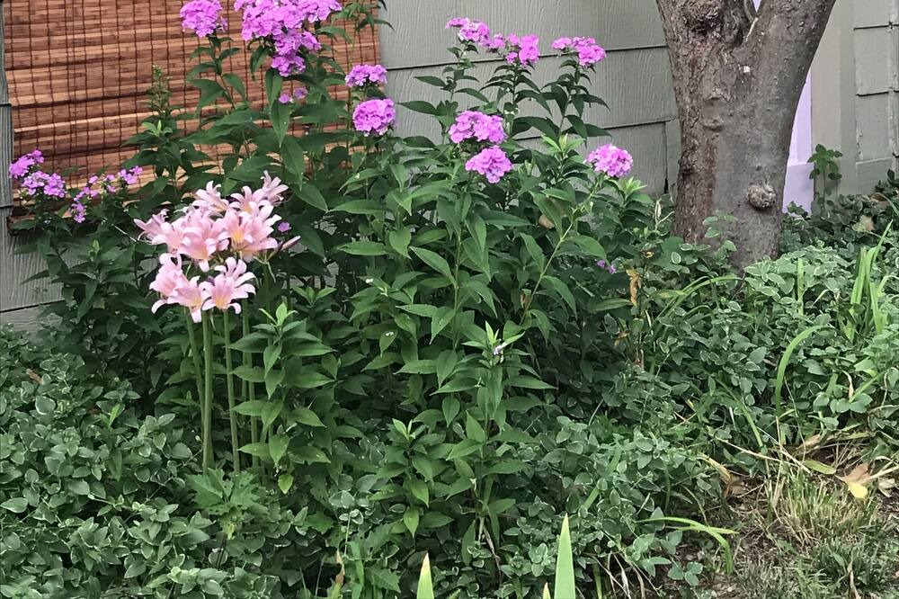 Photo of Outdoor in Wichita