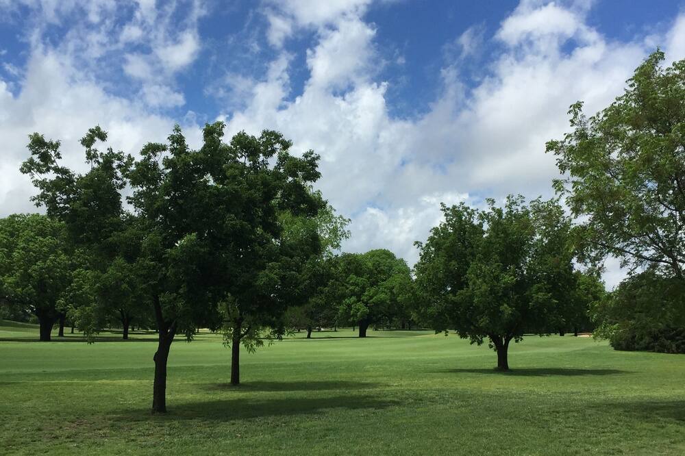 Photo of Others in Wichita