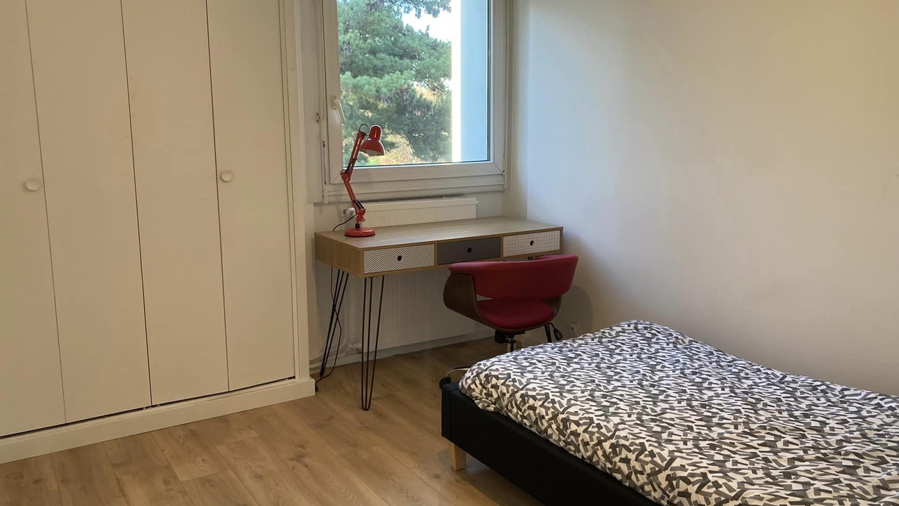 Photo of Others in Saint-Francois d'Assise