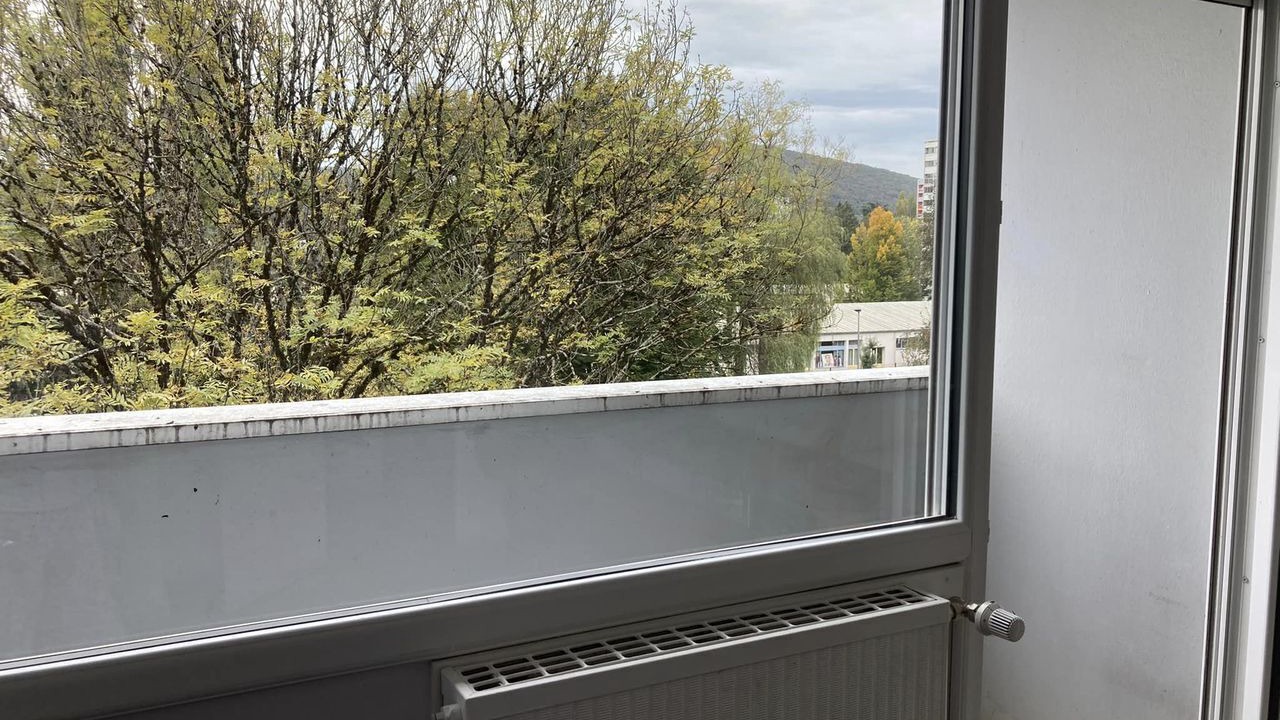 Photo of Others in Saint-Francois d'Assise