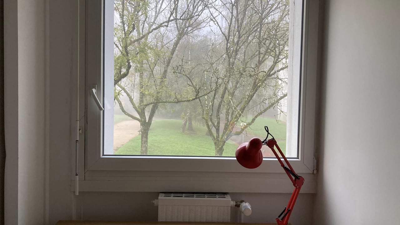 Photo of Others in Saint-Francois d'Assise