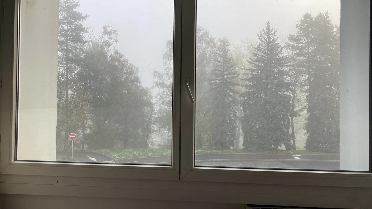 Photo of Others in Saint-Francois d'Assise