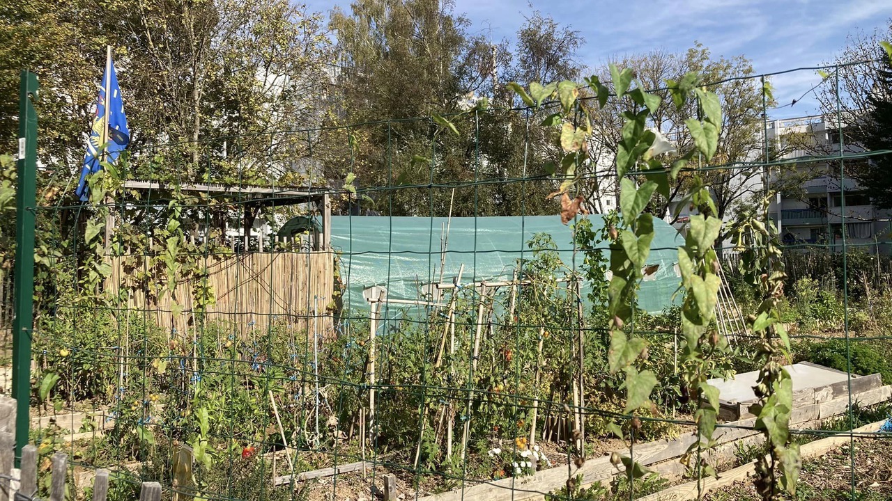 Photo of Others in Saint-Francois d'Assise