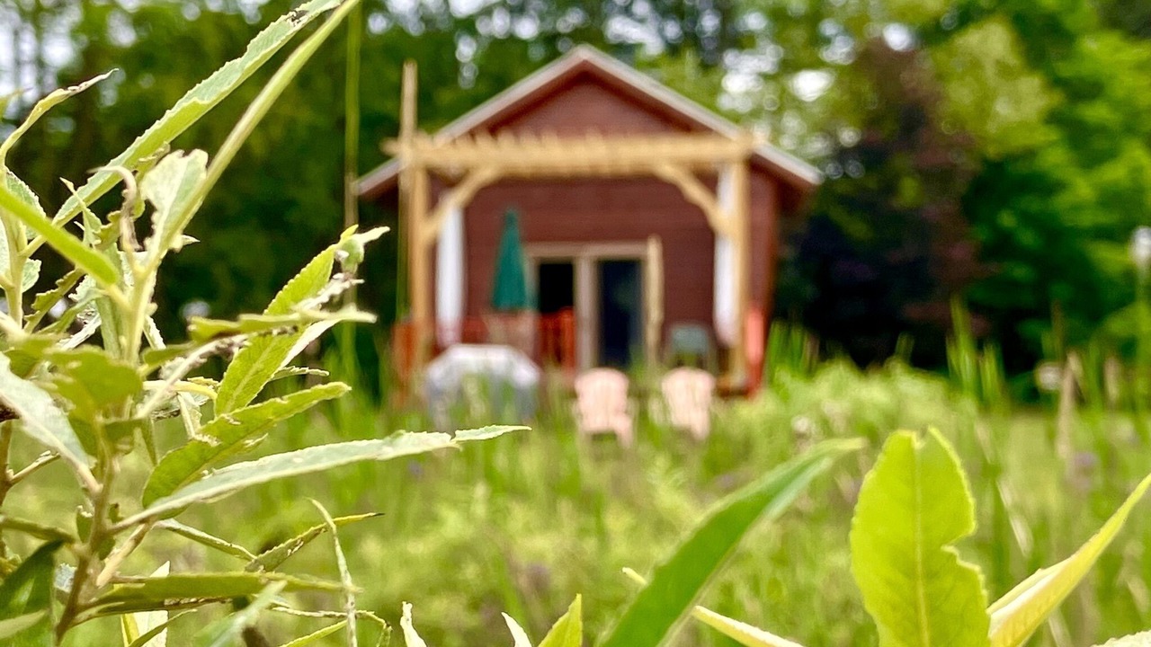 Photo of Outdoor in Colliersville