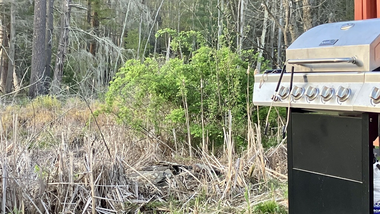 Photo of Outdoor in Colliersville