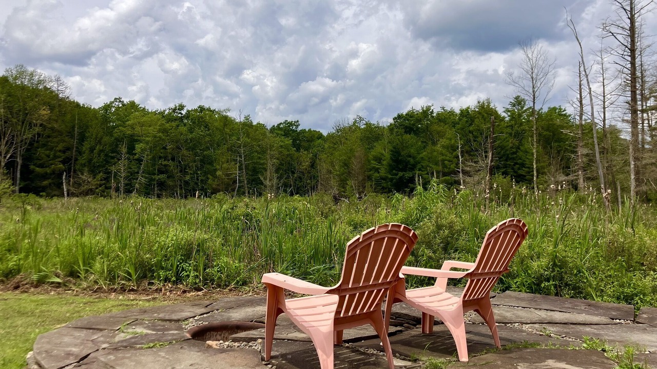 Photo of Outdoor in Colliersville