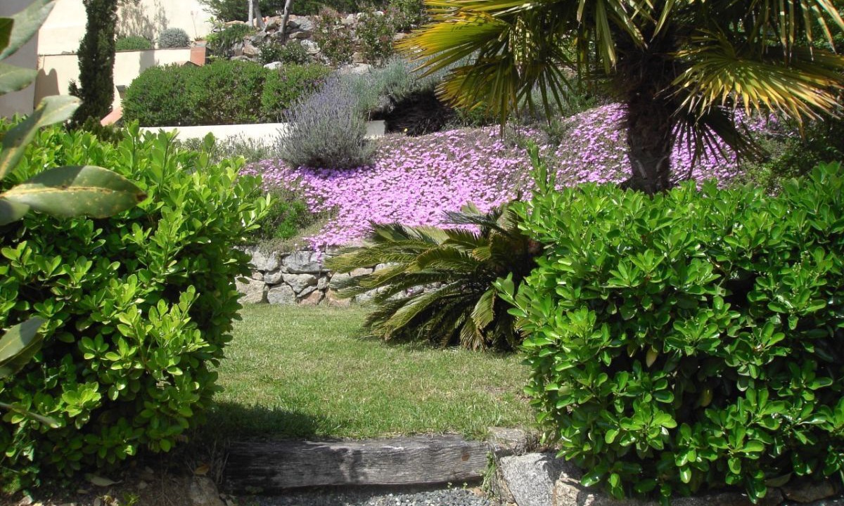 Photo of Outdoor in Palau-Saverdera