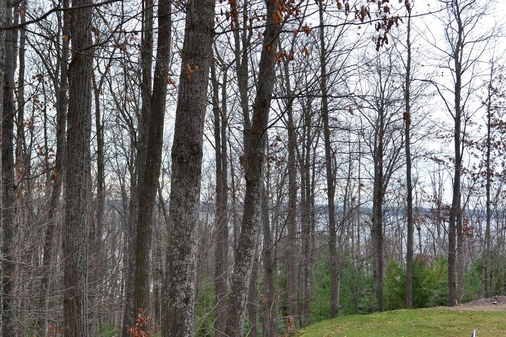 Photo of Outdoor in Higgins Lake