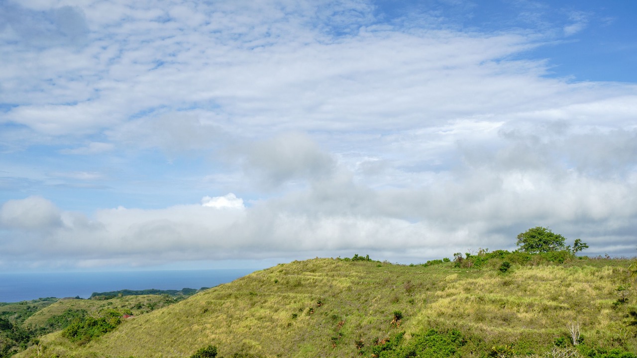 Photo of Others in Penida Island