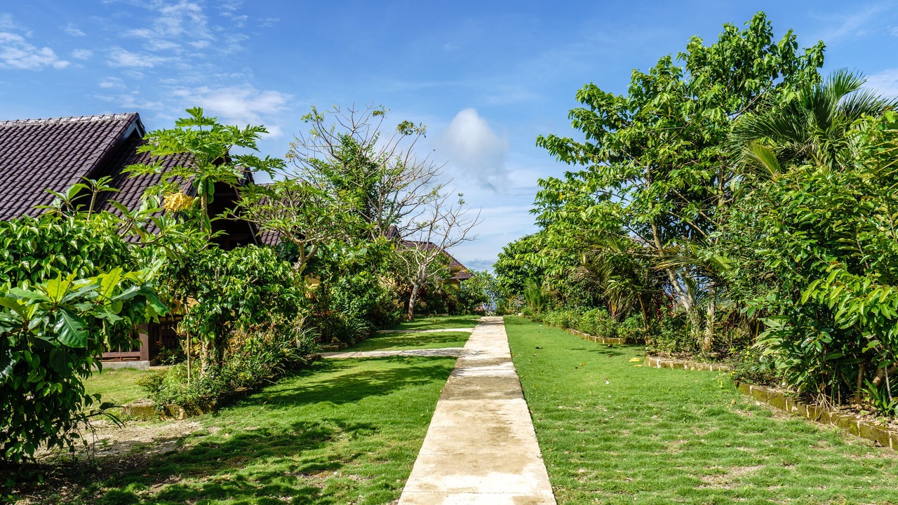 Photo of Outdoor in Penida Island