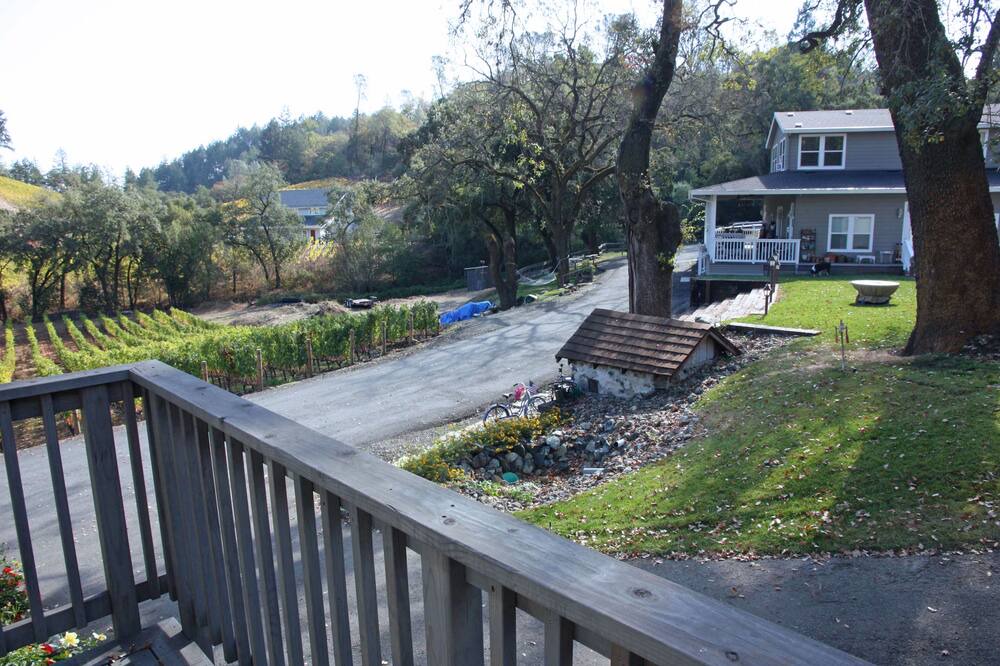 Photo of Others in St. Helena