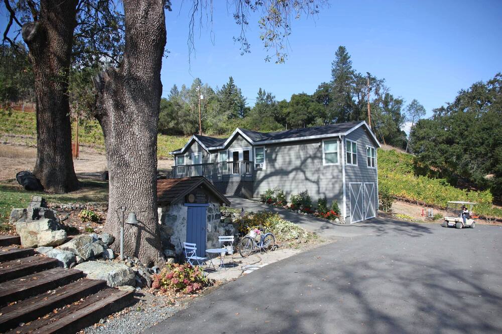 Photo of Others in St. Helena