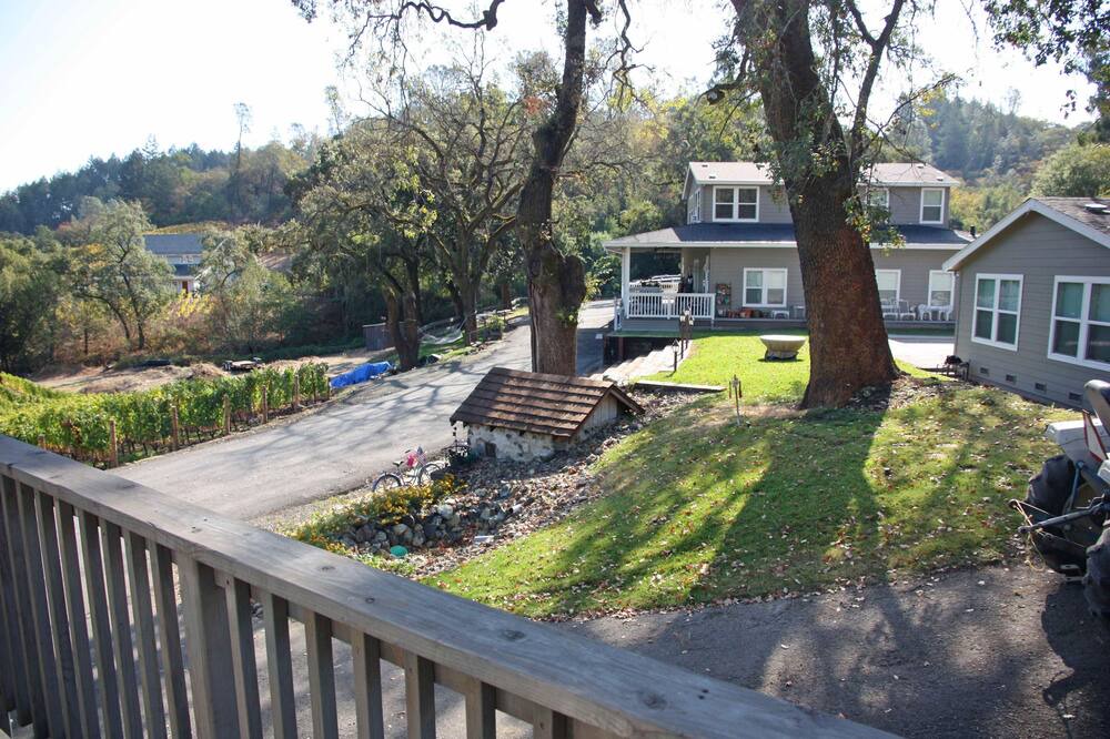 Photo of Others in St. Helena