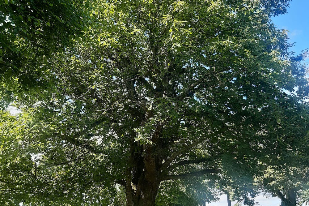 Photo of Others in Centres