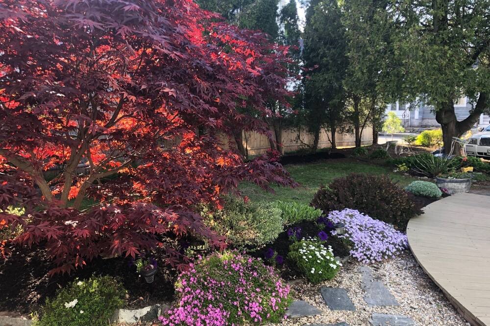 Photo of Outdoor in Brunswick