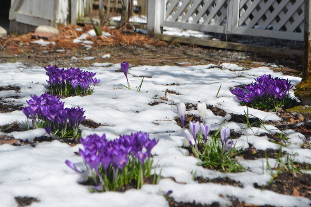Photo of Outdoor in Brunswick