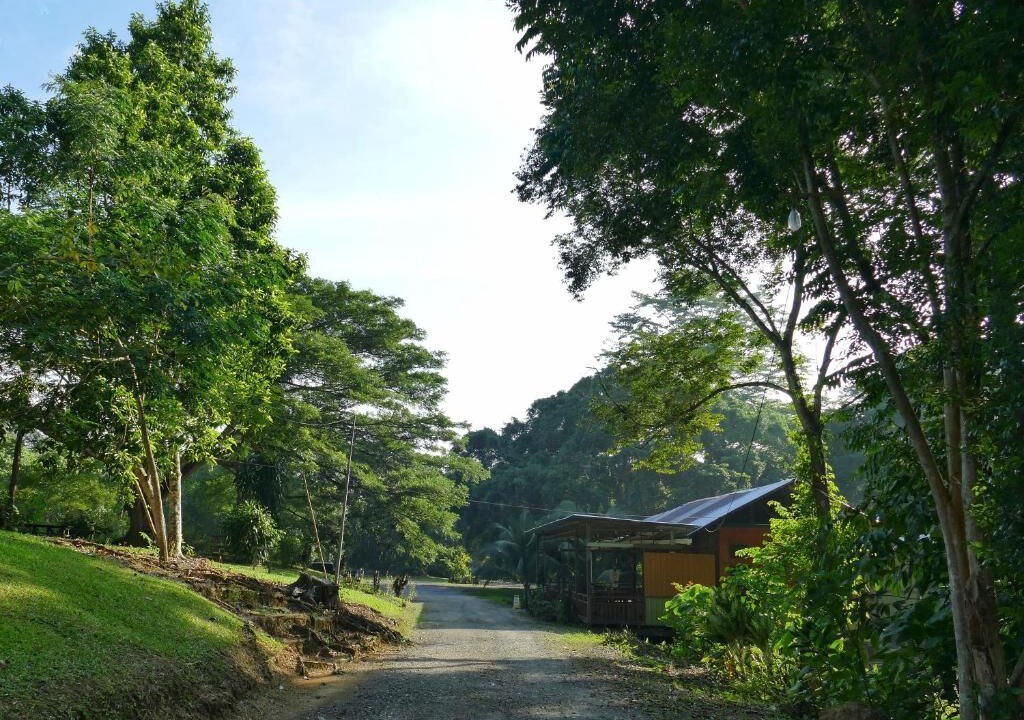 Photo of Outdoor in Sepilok