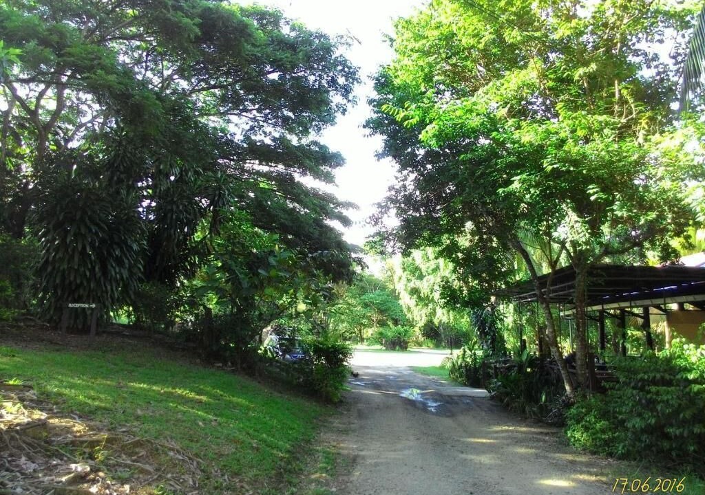 Photo of Outdoor in Sepilok