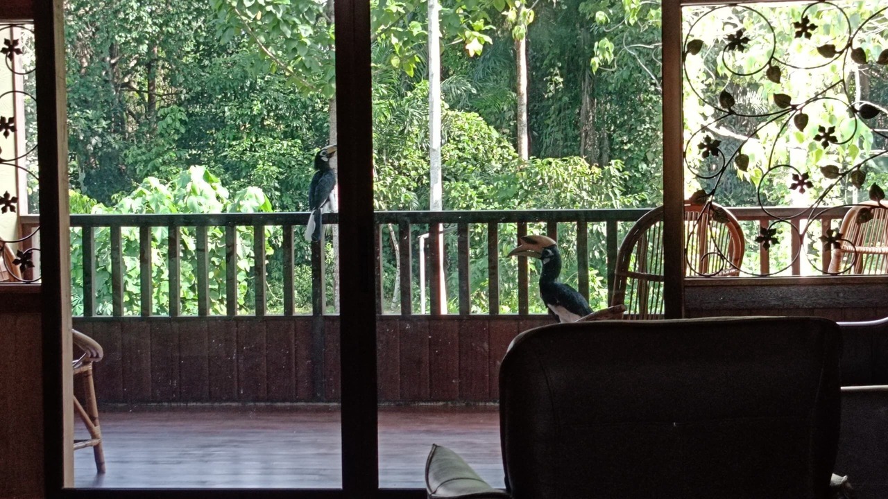 Photo of Patio Balcony in Sepilok