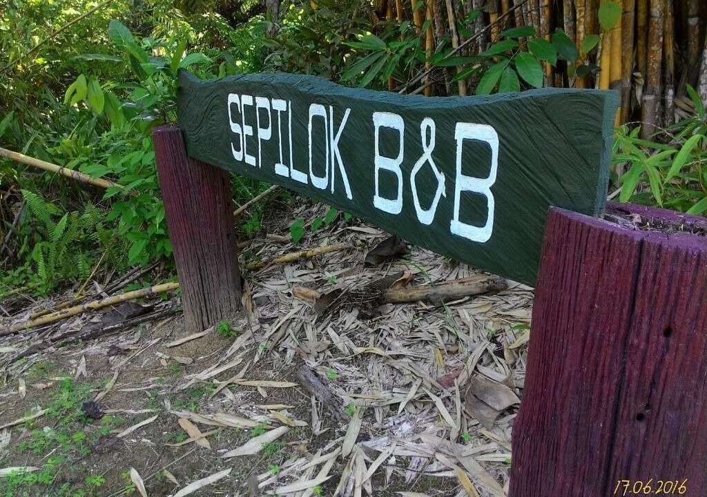 Photo of Outdoor in Sepilok