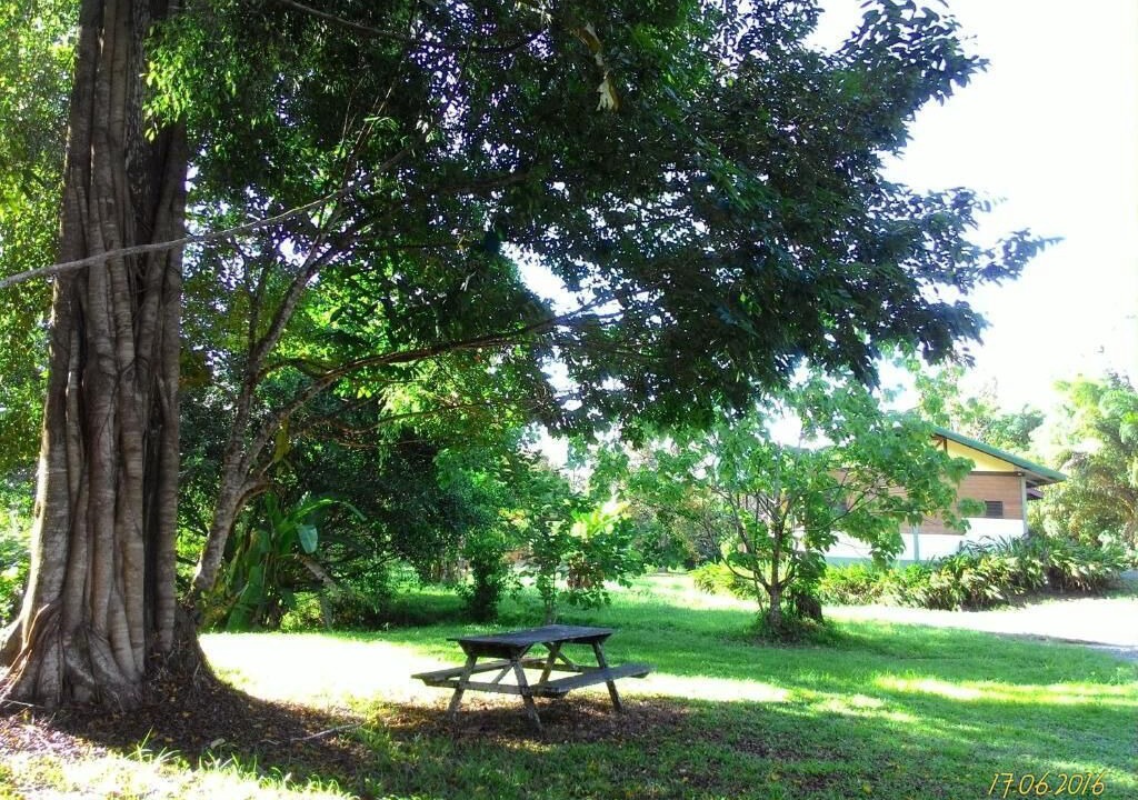 Photo of Outdoor in Sepilok