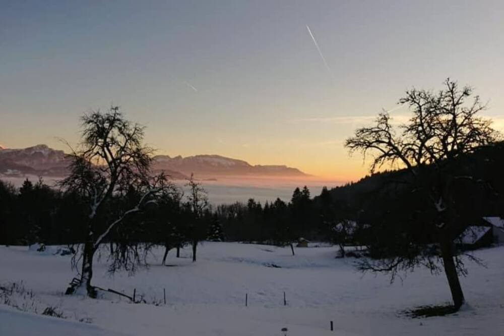 Photo of Others in Viuz-en-Sallaz