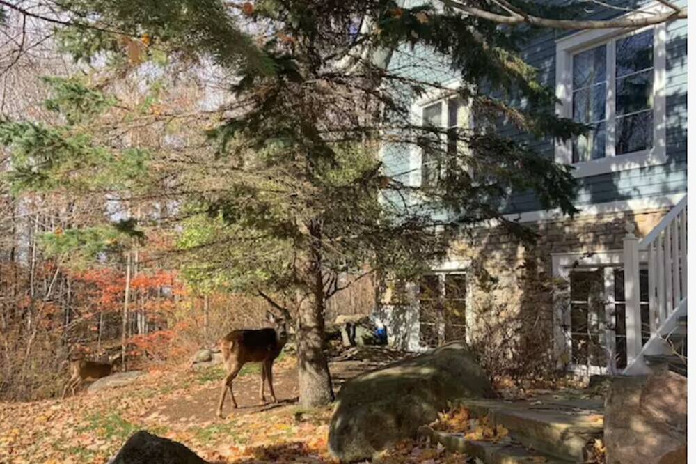 Photo of Outdoor in Tremblant-Les-Eaux