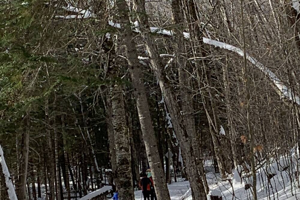 Photo of Others in Tremblant-Les-Eaux