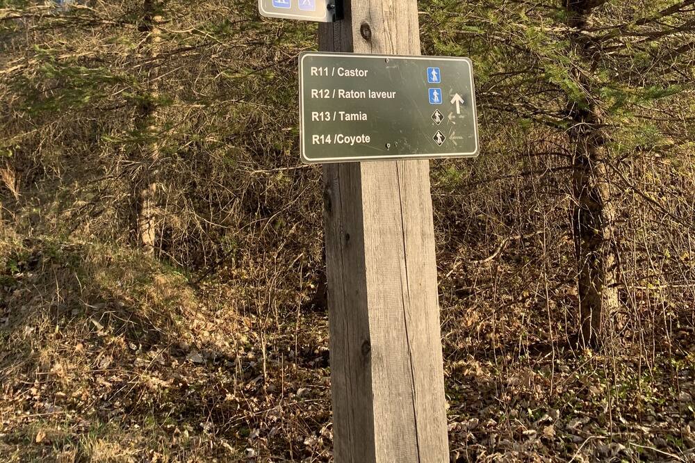 Photo of Others in Tremblant-Les-Eaux