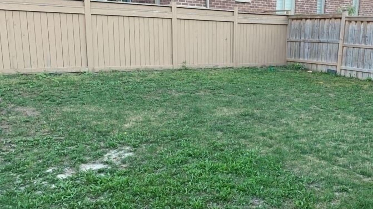 Photo of Outdoor in Ajax