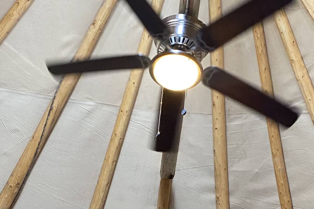 Photo of Others in Townsend