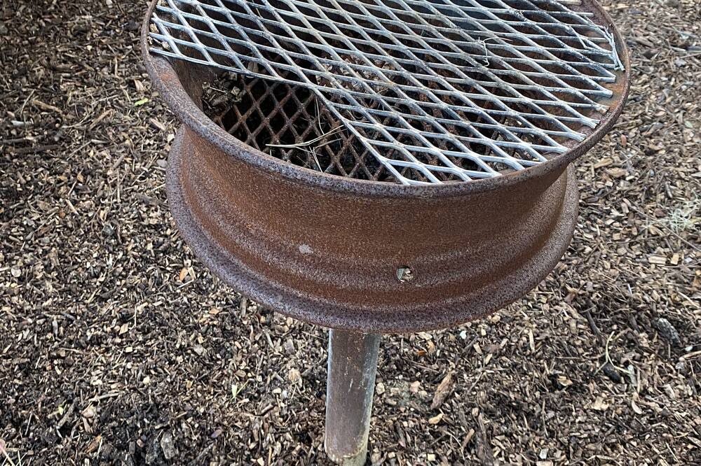 Photo of Outdoor in Townsend