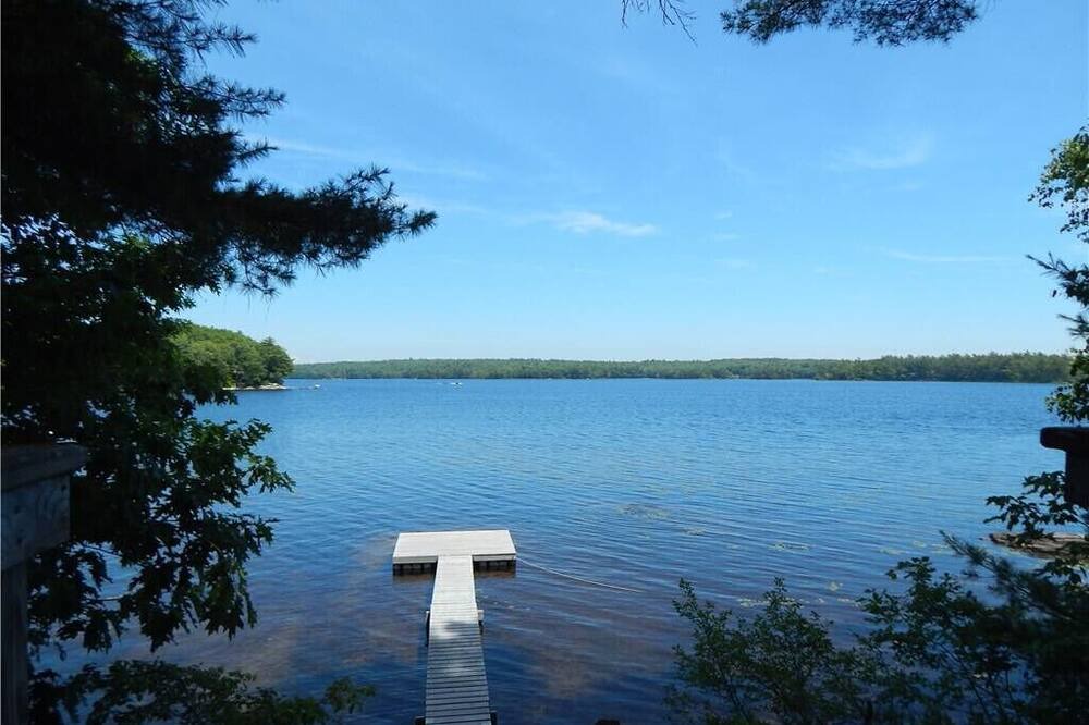 Photo of Others in Damariscotta