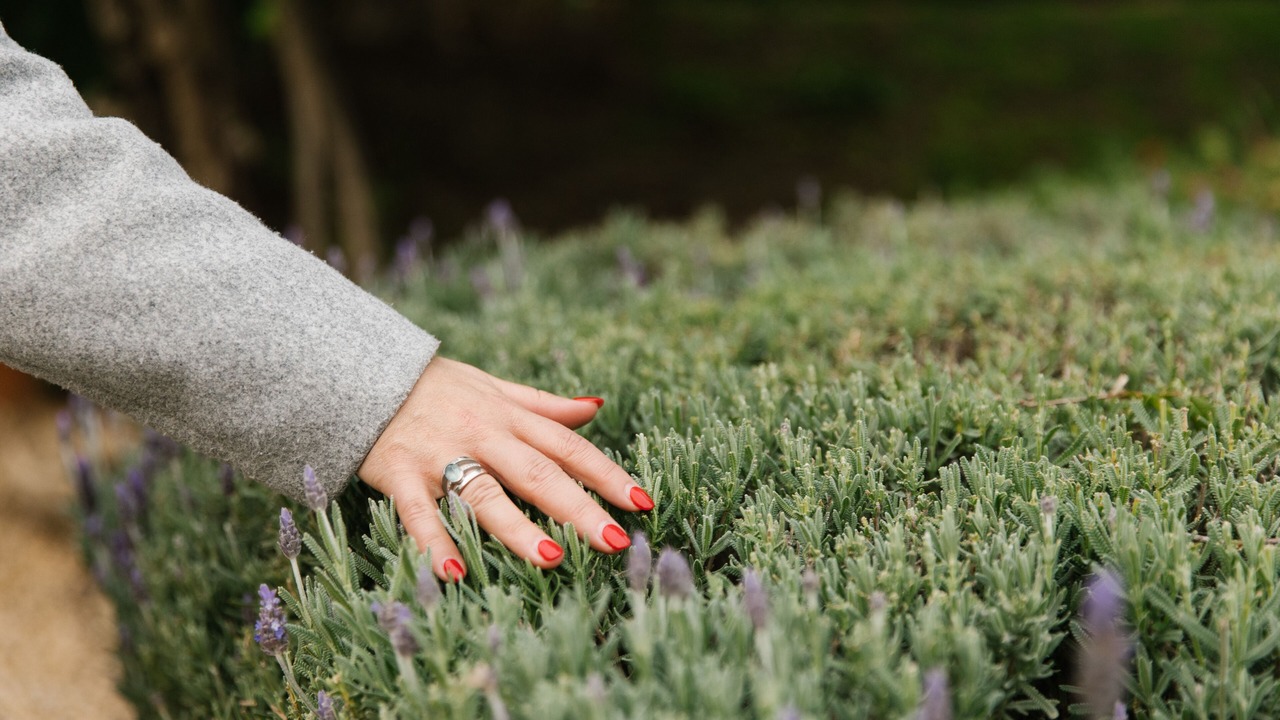 Photo of Outdoor in Allendale North