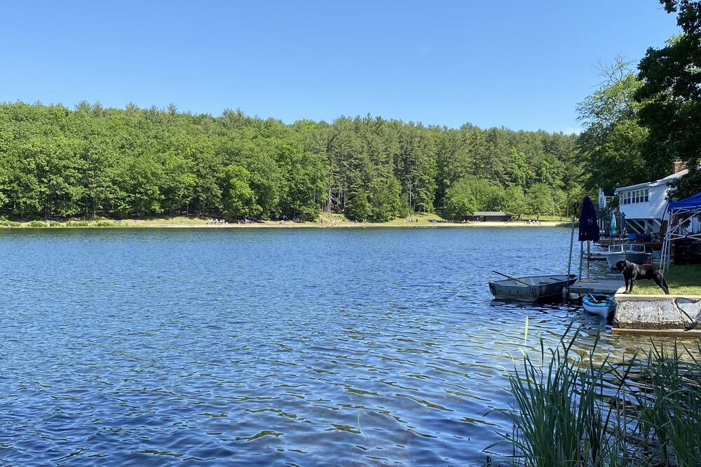 Photo of Others in Hollis